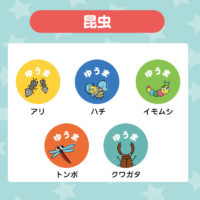 昆虫